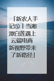 新农人手记⑤丨当湘潭白莲遇上云端电商 新视野带来了新路径