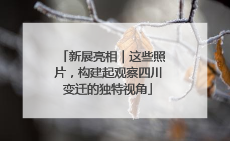 新展亮相｜这些照片，构建起观察四川变迁的独特视角