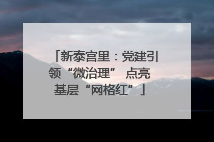 新泰宫里：党建引领“微治理” 点亮基层“网格红”
