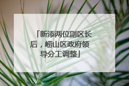 新添两位副区长后，崂山区政府领导分工调整