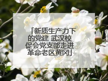 新质生产力下的党建 武汉校促会党支部走进革命老区黄冈