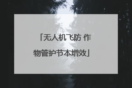 无人机飞防 作物管护节本增效