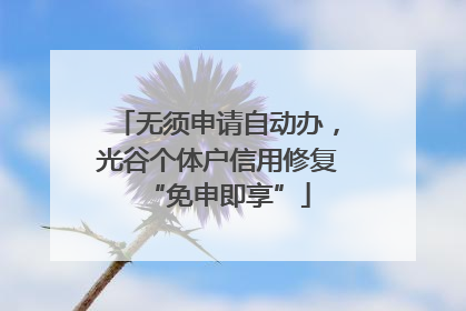 无须申请自动办，光谷个体户信用修复“免申即享”