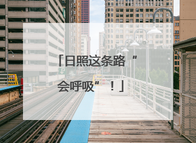 日照这条路“会呼吸”！