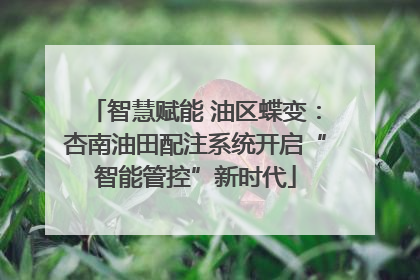智慧赋能 油区蝶变：杏南油田配注系统开启“智能管控”新时代
