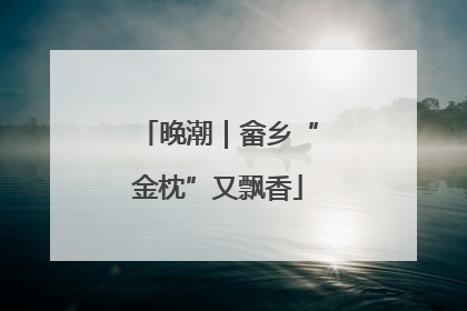 晚潮｜畲乡“金枕”又飘香