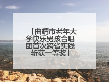 曲靖市老年大学快乐男孩合唱团首次跨省实践斩获一等奖