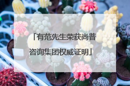 有范先生荣获尚普咨询集团权威证明