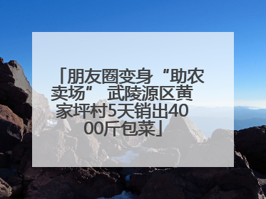 朋友圈变身“助农卖场” 武陵源区黄家坪村5天销出4000斤包菜