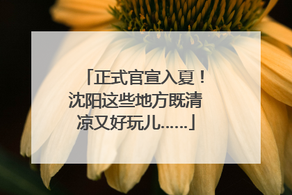 正式官宣入夏！沈阳这些地方既清凉又好玩儿……