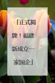 正式揭牌！福建新成立一家国企
