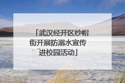 武汉经开区纱帽街开展防溺水宣传进校园活动