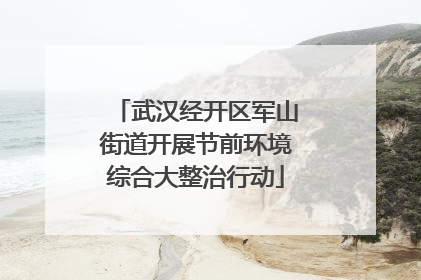 武汉经开区军山街道开展节前环境综合大整治行动