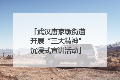 武汉唐家墩街道开展“三大精神”沉浸式宣讲活动