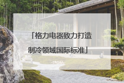 格力电器致力打造制冷领域国际标准