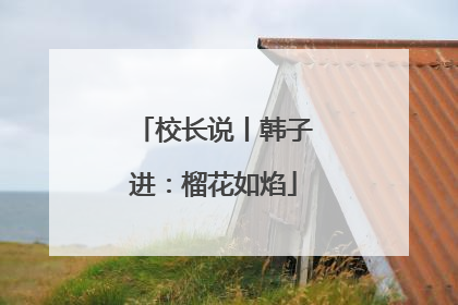 校长说丨韩子进：榴花如焰