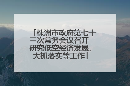 株洲市政府第七十三次常务会议召开 研究低空经济发展、大抓落实等工作