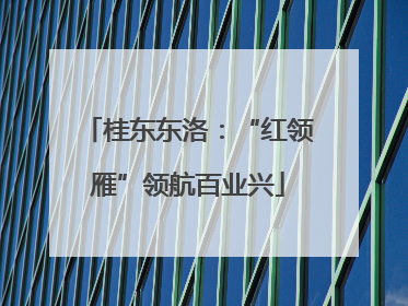 桂东东洛：“红领雁”领航百业兴