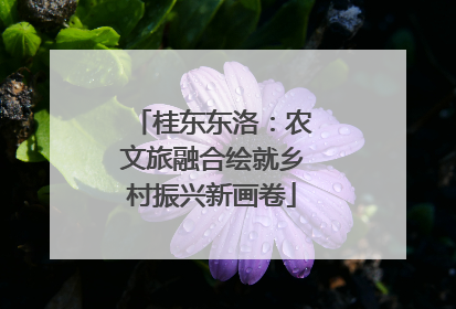 桂东东洛：农文旅融合绘就乡村振兴新画卷