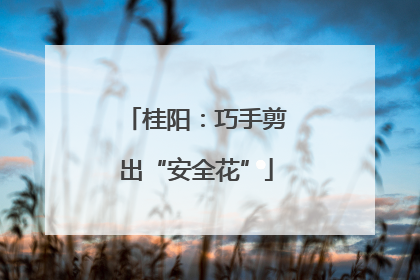 桂阳：巧手剪出“安全花”