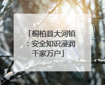 桐柏县大河镇：安全知识浸润千家万户