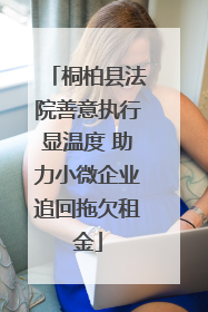 桐柏县法院善意执行显温度 助力小微企业追回拖欠租金