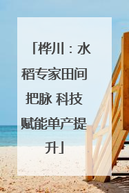 桦川：水稻专家田间把脉 科技赋能单产提升