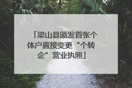 梁山县颁发首张个体户直接变更“个转企”营业执照