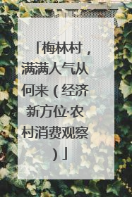 梅林村，满满人气从何来（经济新方位·农村消费观察）