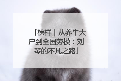 榜样｜从养牛大户到全国劳模：刘琴的不凡之路