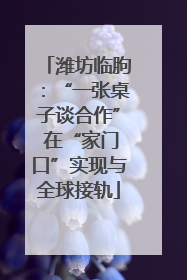 潍坊临朐：“一张桌子谈合作” 在“家门口”实现与全球接轨