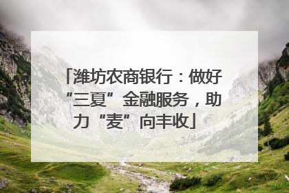潍坊农商银行：做好“三夏”金融服务，助力“麦”向丰收