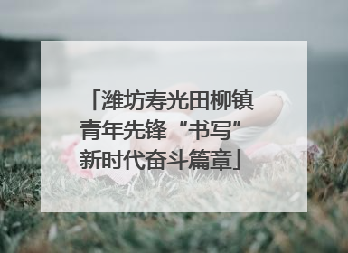 潍坊寿光田柳镇青年先锋“书写”新时代奋斗篇章