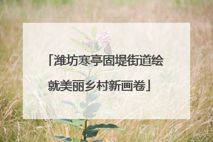 潍坊寒亭固堤街道绘就美丽乡村新画卷