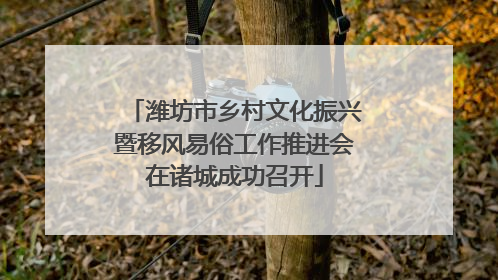 潍坊市乡村文化振兴暨移风易俗工作推进会在诸城成功召开