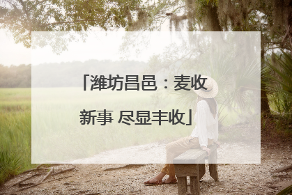 潍坊昌邑：麦收新事 尽显丰收