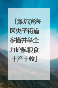 潍坊滨海区央子街道多措并举全力护航粮食丰产丰收