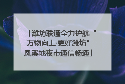 潍坊联通全力护航“万物向上·更好潍坊”凤溪地夜市通信畅通