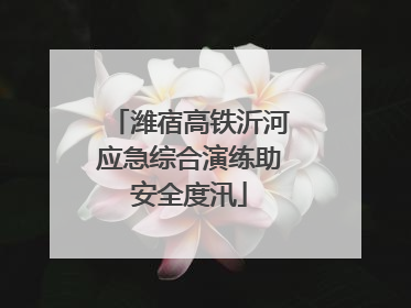 潍宿高铁沂河应急综合演练助安全度汛