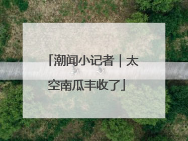 潮闻小记者｜太空南瓜丰收了