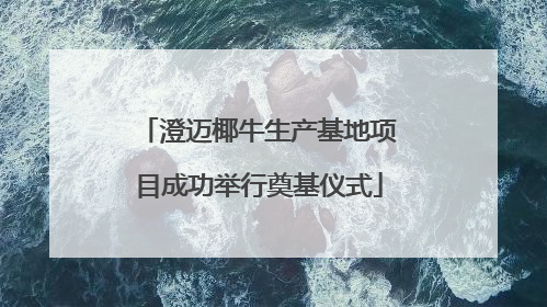 澄迈椰牛生产基地项目成功举行奠基仪式