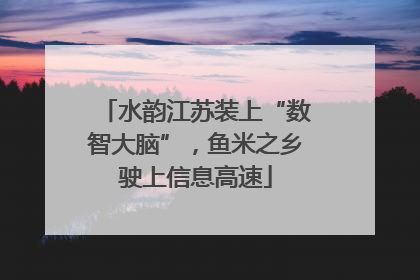 水韵江苏装上“数智大脑”，鱼米之乡驶上信息高速