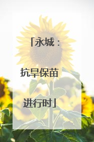 永城：抗旱保苗进行时