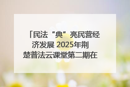 民法“典”亮民营经济发展 2025年荆楚普法云课堂第二期在武汉客厅开讲