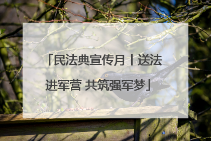 民法典宣传月丨送法进军营 共筑强军梦