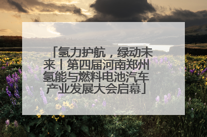 氢力护航，绿动未来丨第四届河南郑州氢能与燃料电池汽车产业发展大会启幕