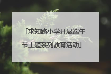求知路小学开展端午节主题系列教育活动