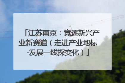 江苏南京：竞逐新兴产业新赛道（走进产业地标·发展一线探变化）