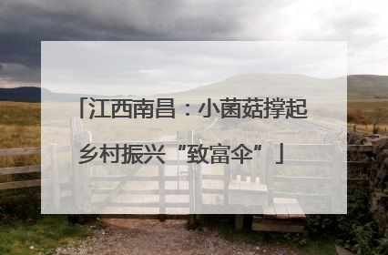 江西南昌：小菌菇撑起乡村振兴“致富伞”