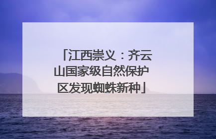 江西崇义：齐云山国家级自然保护区发现蜘蛛新种